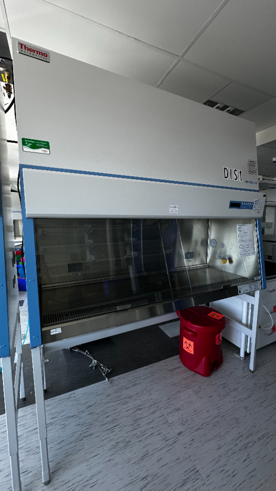 Image of Thermo Scientific 1300 Series A2 BSC- 6ft